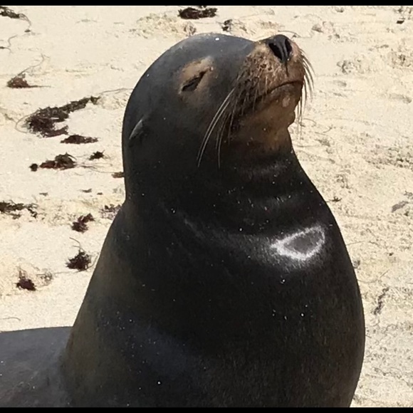 Save the trees! Sign my petition! Buy Poshmark! - Picture 3 of 4